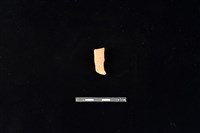 陶片藏品圖，第1張